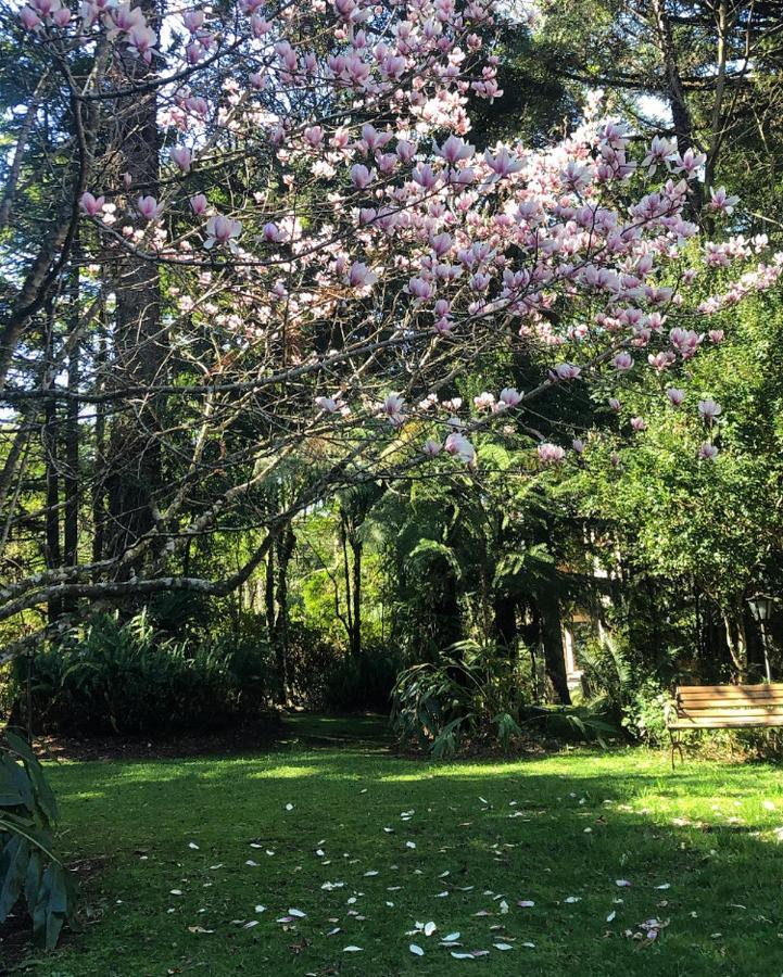 Casa Goldoni Gramado Villa Екстериор снимка